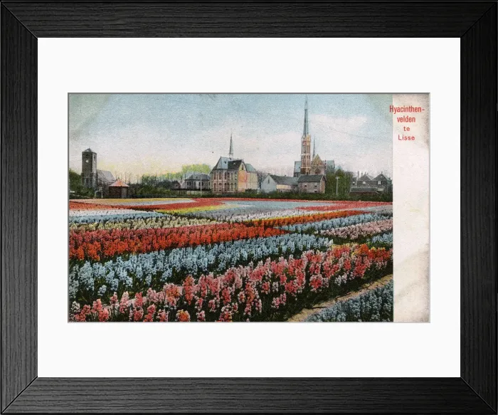 Framed Print : Market Reports Illustrated Framed Print : Market Reports Illustrated