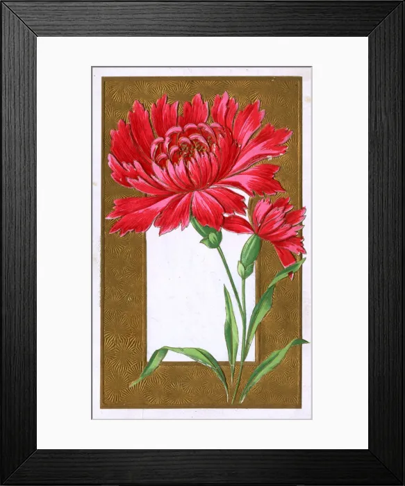 Framed Print : Red Spray Chrysanthemum set above decorative gold border Framed Print : Red Spray Chrysanthemum set above decorative gold border