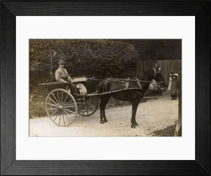 Framed Print : The Local Country Squire - out for a ride in his trap Framed Print : The Local Country Squire - out for a ride in his trap
