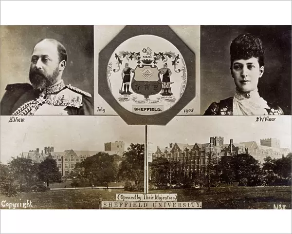 Sheffield University - Portraits of Edward VI and Alexandra