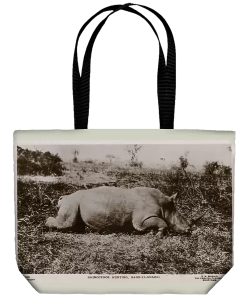 Rhinoceros Hunting, Bahr-el-Ghazal, South Sudan, Africa