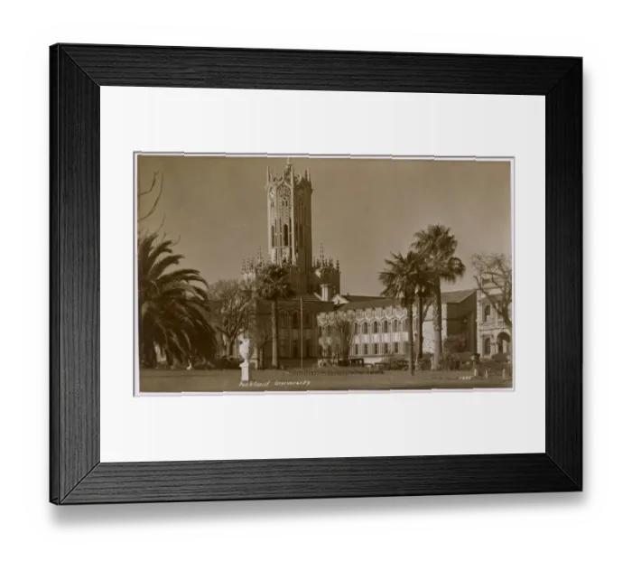 Framed Print : The University of Auckland, Auckland, New Zealand Framed Print : The University of Auckland, Auckland, New Zealand