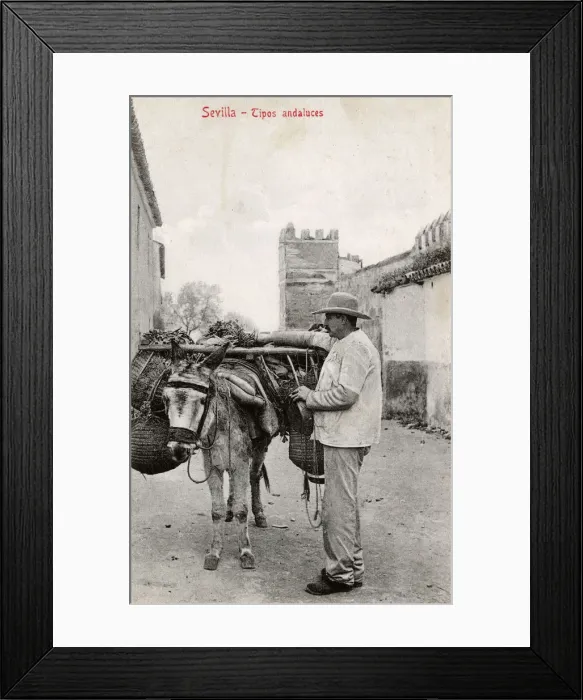 Framed Print : Andalucian Man with his laden donkey - Seville, Spain Framed Print : Andalucian Man with his laden donkey - Seville, Spain