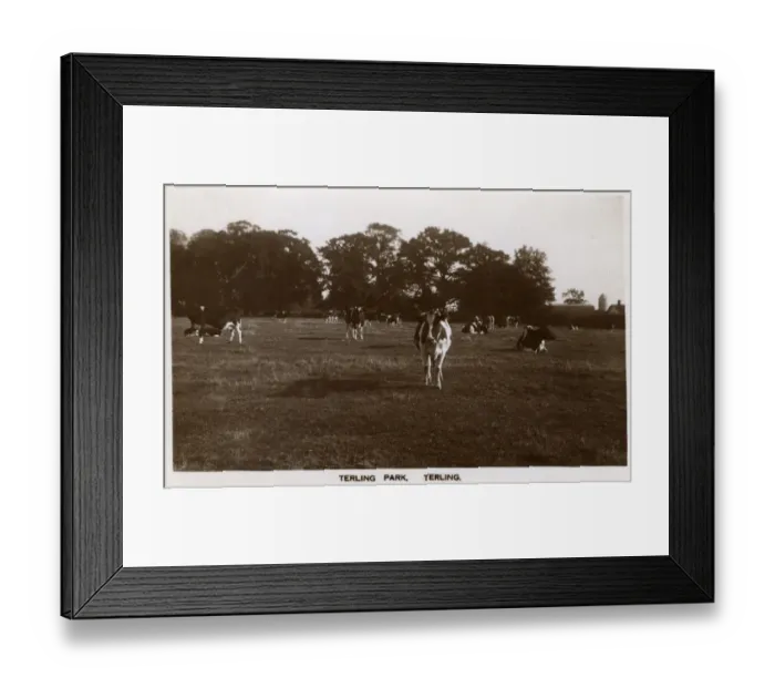 Framed Print : Terling, Essex, Terling Park - Terling Place Framed Print : Terling, Essex, Terling Park - Terling Place