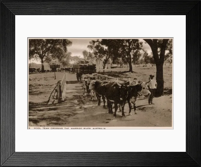 Framed Print : Australia - Wool Team crossing the Warrigo River Framed Print : Australia - Wool Team crossing the Warrigo River