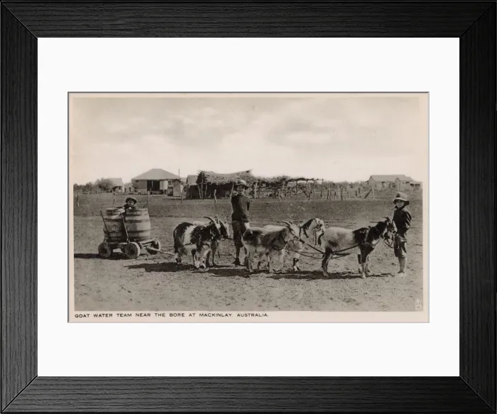 Framed Print : Australia - Goat Water Team near the Bore at Mckinlay Framed Print : Australia - Goat Water Team near the Bore at Mckinlay