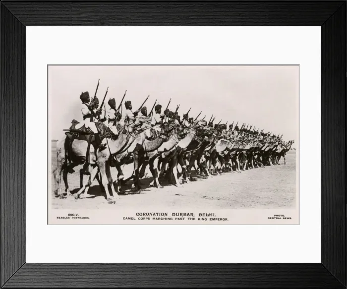 Framed Print : Delhi Durbar - Camel Corps Marching Past Emperor George V Framed Print : Delhi Durbar - Camel Corps Marching Past Emperor George V