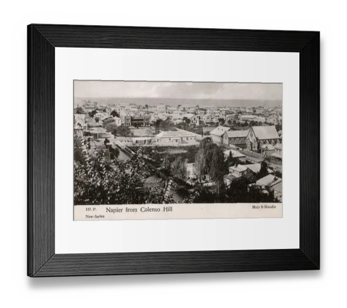 Framed Print : Napier from Colenso Hill - New Zealand Framed Print : Napier from Colenso Hill - New Zealand