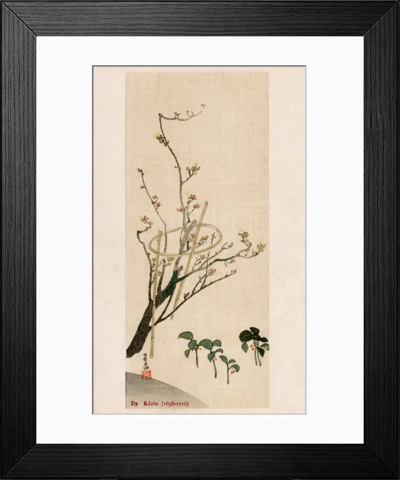 Framed Print : Blossom Tree with bamboo supports by Ogata Korin Framed Print : Blossom Tree with bamboo supports by Ogata Korin