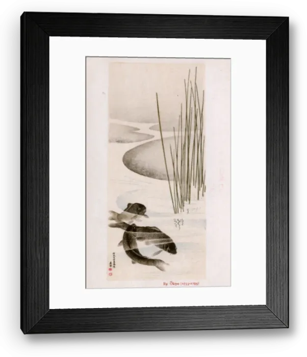 Framed Print : Three Carp in a pool by Maruyama Okyo
