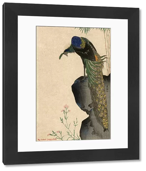 Peacock and Bamboo by Yamaguchi Soken