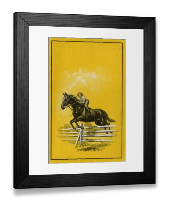 Framed Print : Playing Card Back - Female Horse jumping a fence Framed Print : Playing Card Back - Female Horse jumping a fence