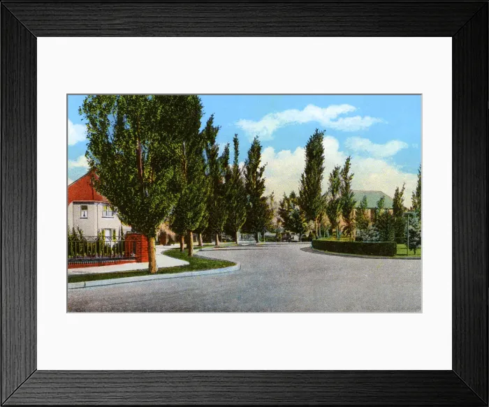 Framed Print : Reno, Nevada, USA - Newlands Circle Framed Print : Reno, Nevada, USA - Newlands Circle