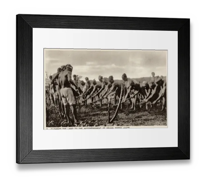 Framed Print : Sierra Leone, West Africa - Villagers preparing arable land Framed Print : Sierra Leone, West Africa - Villagers preparing arable land