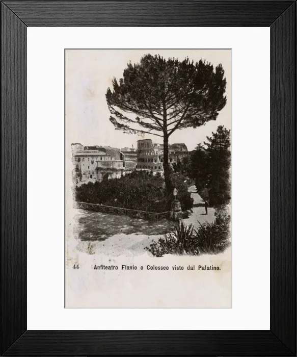 Framed Print : View of the Colosseum and Roman Forum from Palatine Hill Framed Print : View of the Colosseum and Roman Forum from Palatine Hill