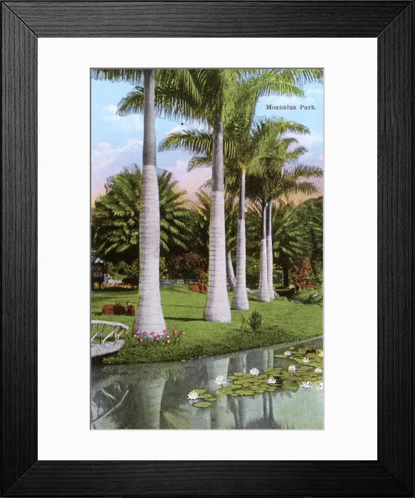 Framed Print : Honolulu, Hawaii, USA - Moanalua Park Framed Print : Honolulu, Hawaii, USA - Moanalua Park