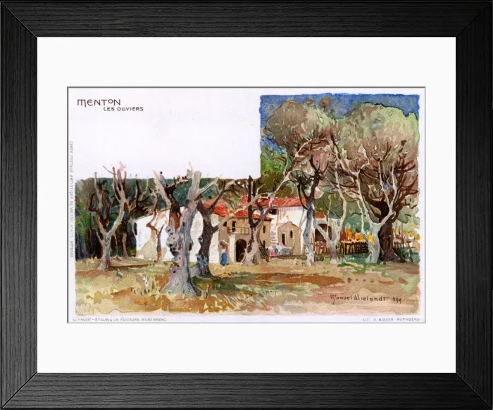 Framed Print : Menton, France - Olive Trees Framed Print : Menton, France - Olive Trees