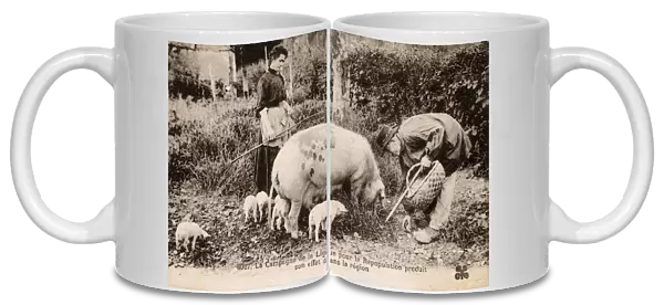 French Countryfolk and their Pigs