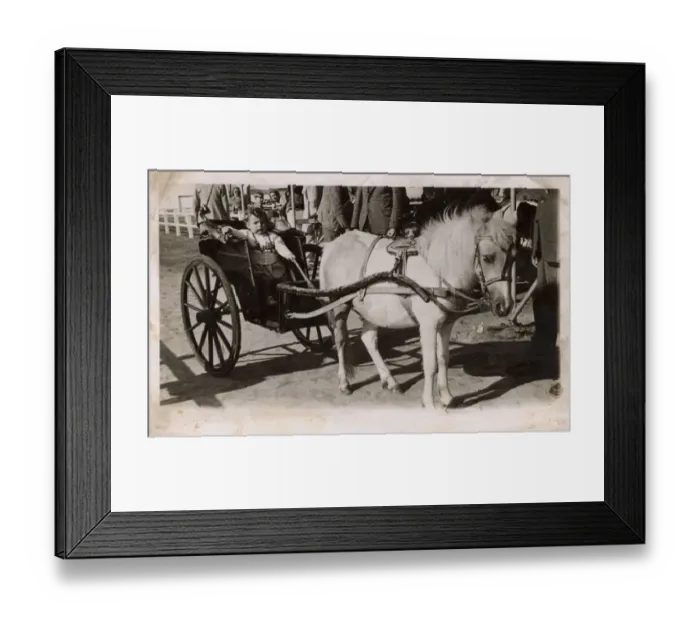 Framed Print : British Holiday Scene, Young toddler riding in pony carriage Framed Print : British Holiday Scene, Young toddler riding in pony carriage