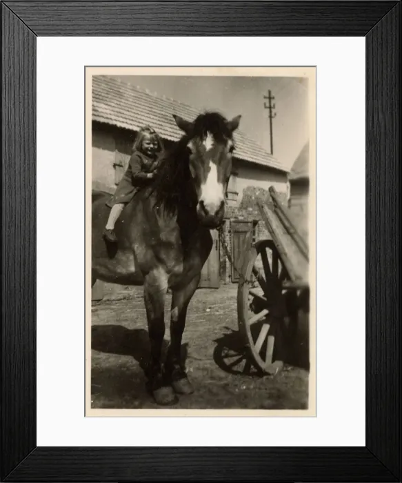 Framed Print : Little Girl on a large horse