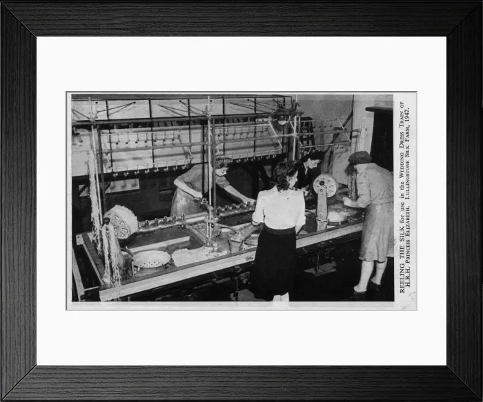 Framed Print : Reeling the Silk for wedding dress train, Princess Elizabeth Framed Print : Reeling the Silk for wedding dress train, Princess Elizabeth
