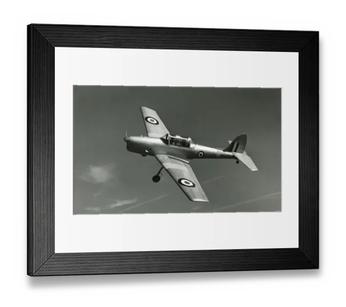 Framed Print : de Havilland Canada DHC1 ChipmunkTMk10, WB551, for the RAF Framed Print : de Havilland Canada DHC1 ChipmunkTMk10, WB551, for the RAF