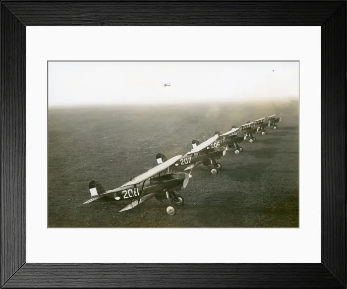 Framed Print : Fokker DXVIIs Framed Print : Fokker DXVIIs