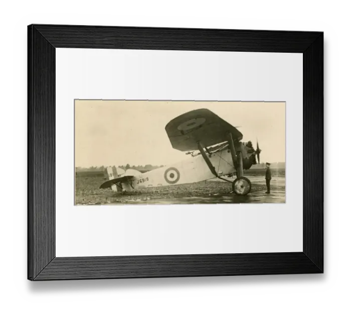 Framed Print : The sole Hawker Duiker, J6918 Framed Print : The sole Hawker Duiker, J6918