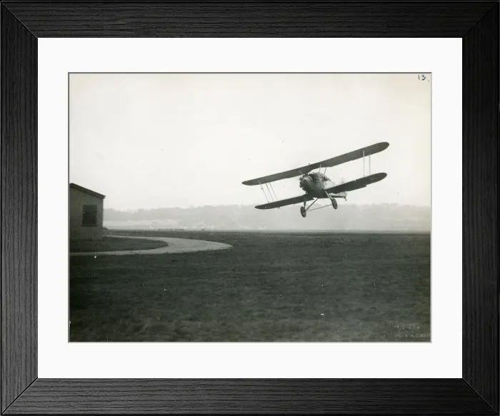 Framed Print : Hawker Danecock Framed Print : Hawker Danecock