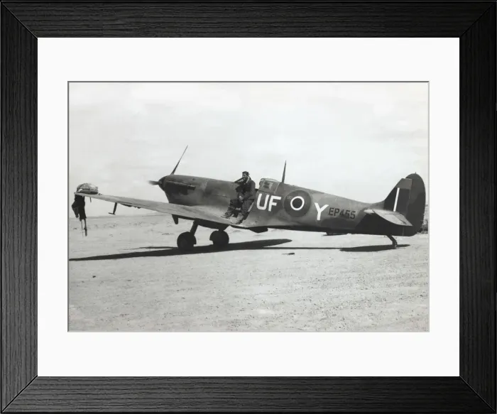 Framed Print : Supermarine Spitfire 5B / VB Framed Print : Supermarine Spitfire 5B / VB