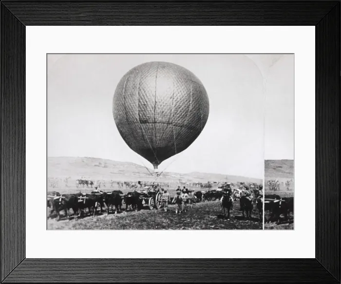 Framed Print : Cattle Pulling a Balloon Cart and Soldiers on Horses by ? Framed Print : Cattle Pulling a Balloon Cart and Soldiers on Horses by ?