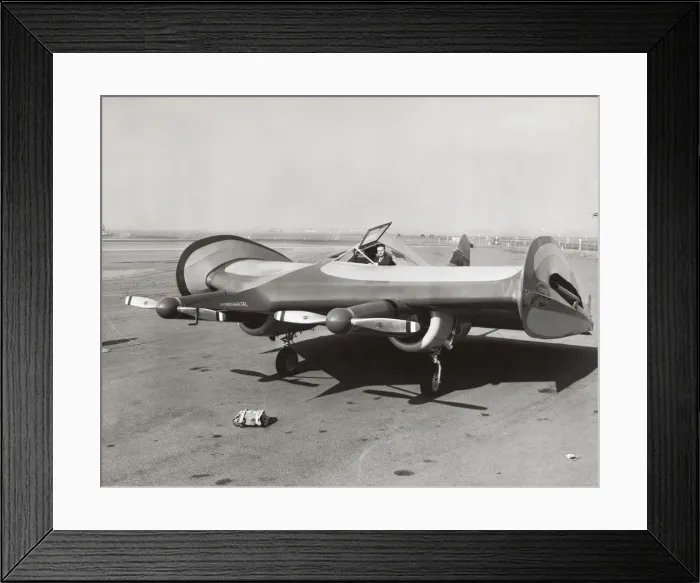 Framed Print : Horton Wingless Framed Print : Horton Wingless
