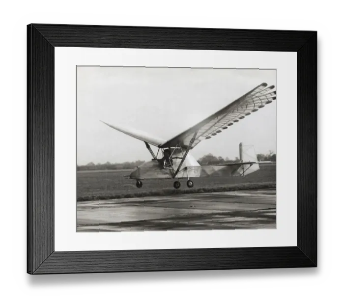 Framed Print : Hartman Ornithopter