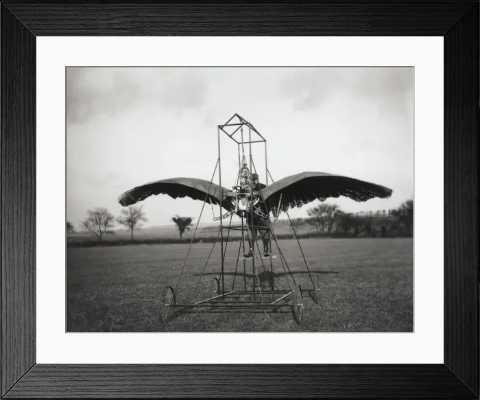 Framed Print : Frost Ornithopter Framed Print : Frost Ornithopter