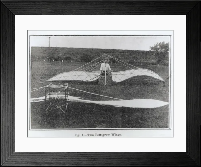 Framed Print : Mr E Wilson with Two Pettigrew Wing Type Ornithopters ? Framed Print : Mr E Wilson with Two Pettigrew Wing Type Ornithopters ?
