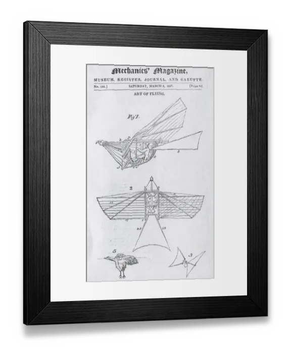 Framed Print : A Line-Drawing of Thomas Walkers First Design for a Fly? Framed Print : A Line-Drawing of Thomas Walkers First Design for a Fly?