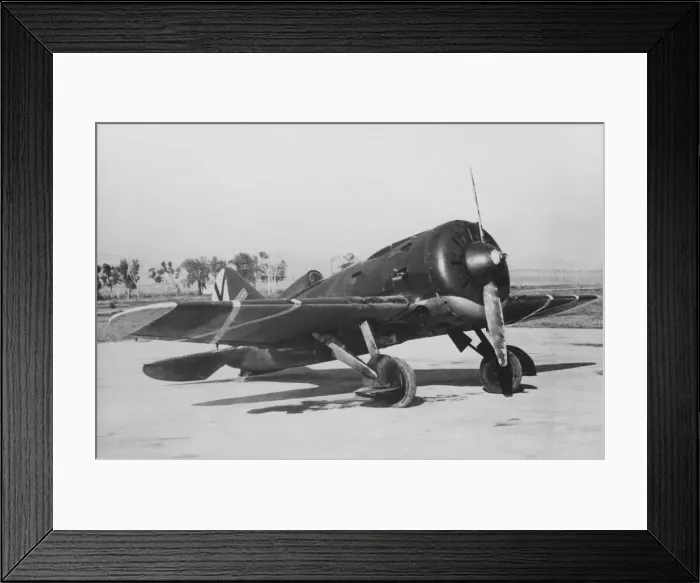 Framed Print : Polikarpov I-16 Rata Framed Print : Polikarpov I-16 Rata