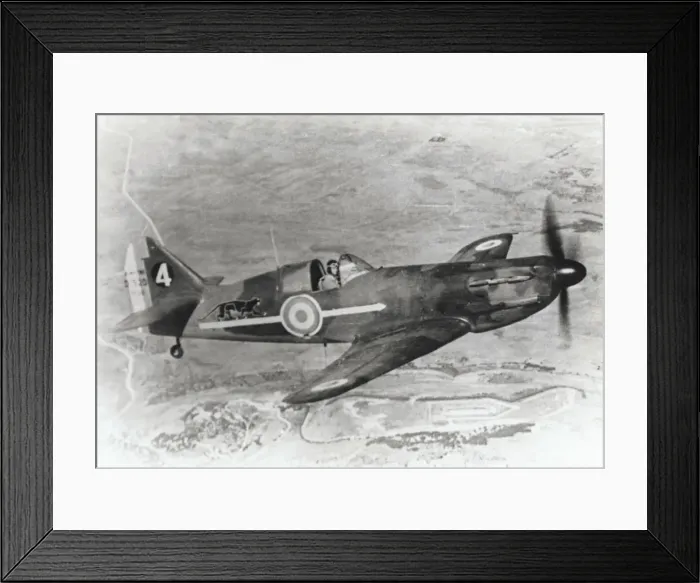 Framed Print : Dewoitine D-520 Framed Print : Dewoitine D-520