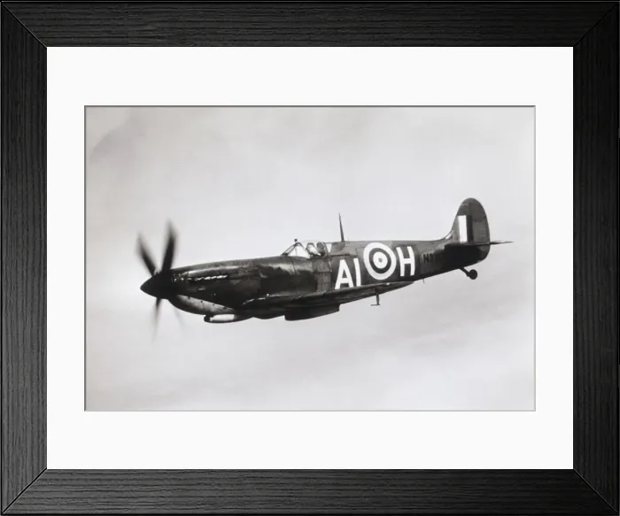 Framed Print : Supermarine Spitfire LF-9C / LF-IXC Framed Print : Supermarine Spitfire LF-9C / LF-IXC