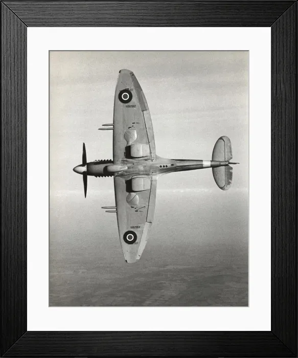 Framed Print : Supermarine Spitfire Framed Print : Supermarine Spitfire
