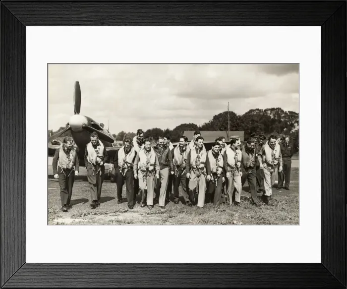 Framed Print : Supermarine Spitfire 5 / V Framed Print : Supermarine Spitfire 5 / V