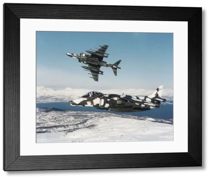 Framed Print : BAE Harrier GR-5 Framed Print : BAE Harrier GR-5