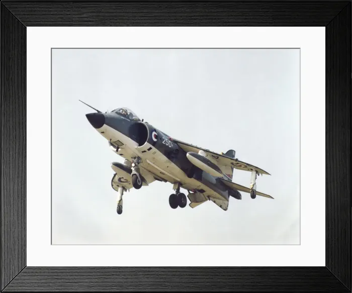 Framed Print : BAE Sea Harrier FRS-1 Framed Print : BAE Sea Harrier FRS-1