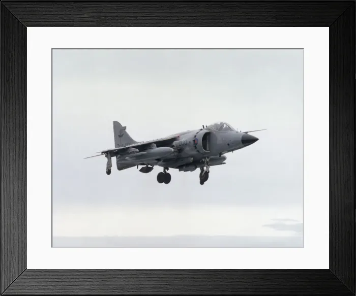 Framed Print : BAE Sea Harrier FRS-1 Framed Print : BAE Sea Harrier FRS-1