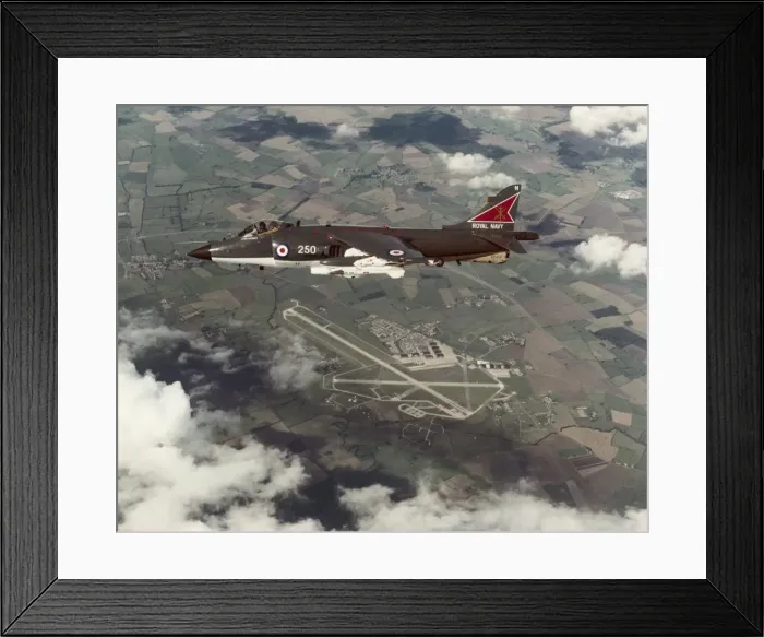 Framed Print : BAE Sea Harrier FRS-1 Framed Print : BAE Sea Harrier FRS-1