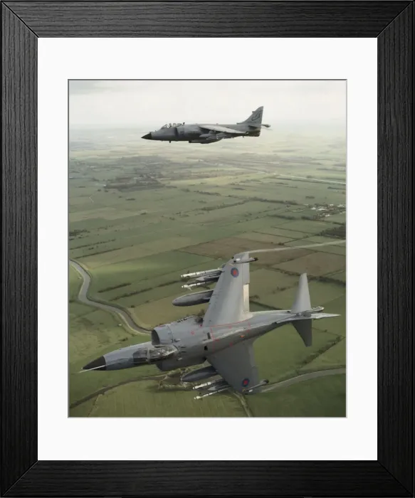Framed Print : BAE Sea Harrier FRS-1 Framed Print : BAE Sea Harrier FRS-1