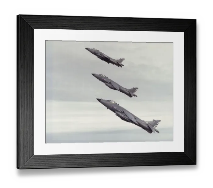 Framed Print : BAE Sea Harrier FRS-1 Framed Print : BAE Sea Harrier FRS-1
