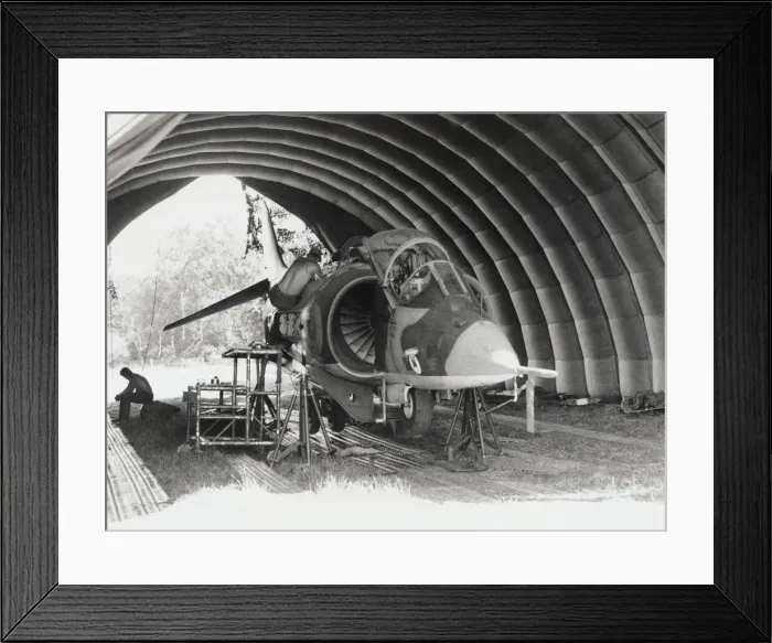 Framed Print : BAE Harrier Framed Print : BAE Harrier