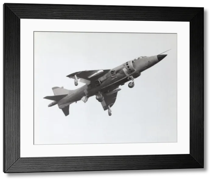 Framed Print : BAE Sea Harrier FRS-1 Framed Print : BAE Sea Harrier FRS-1