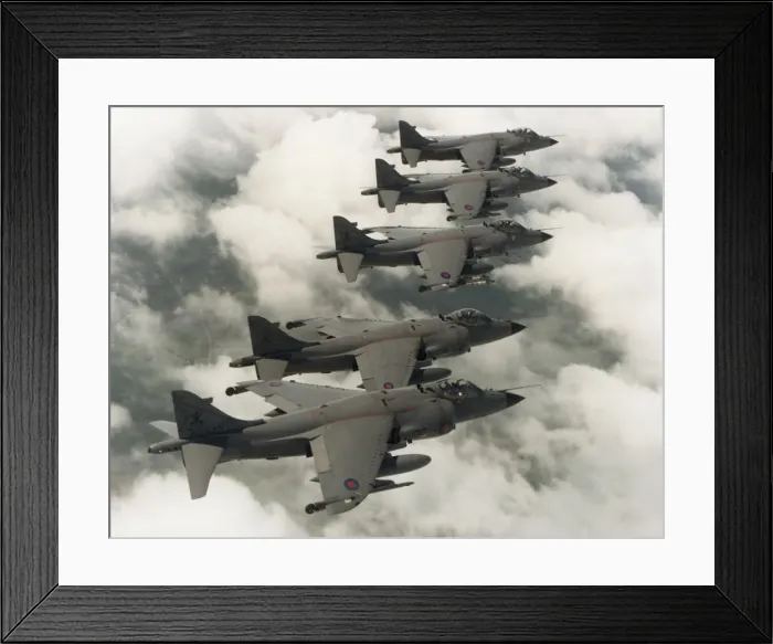 Framed Print : BAE Sea Harrier FRS-1 Framed Print : BAE Sea Harrier FRS-1